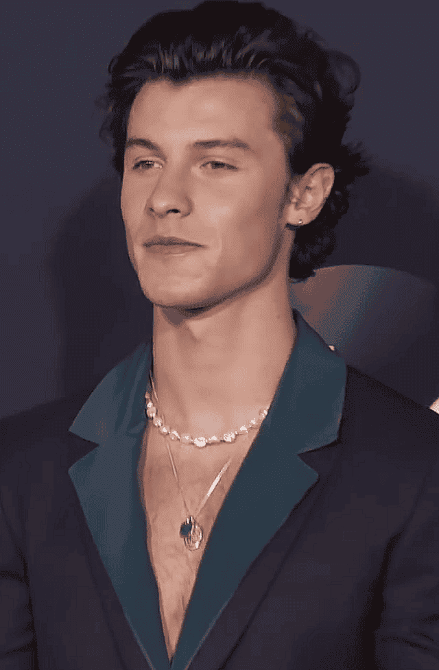 Shawn Mendes height